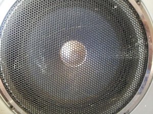 20130425_132114.jpg