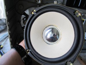 Left Woofer1.JPG