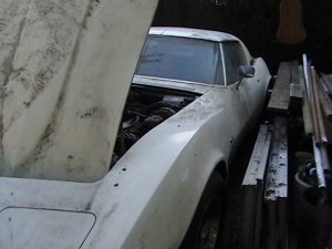 Pictures 2006 124.jpg