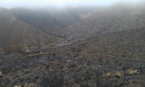 IMAG1070.jpg