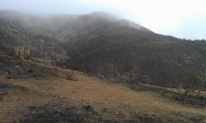 IMAG1072.jpg
