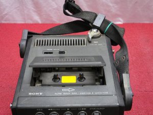 SONY FX-300_4.jpg