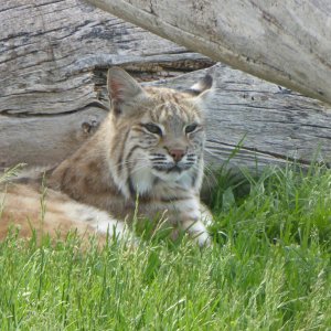 1050023(0).jpg 1050023(0).jpg