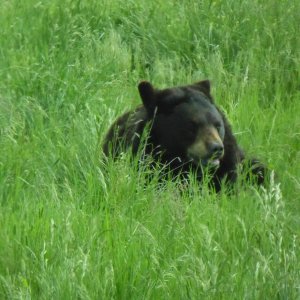 1040998.jpg 1040998.jpg