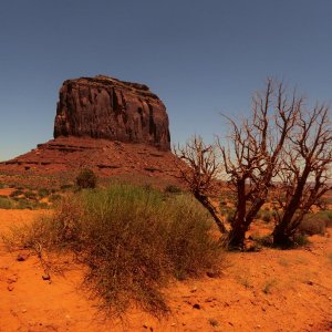 1060409.jpg 1060409.jpg