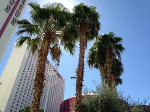 IMG_6126.JPG
