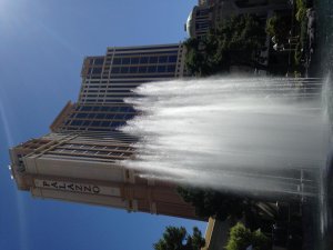 IMG_6136.JPG