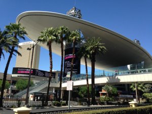 IMG_6139.JPG