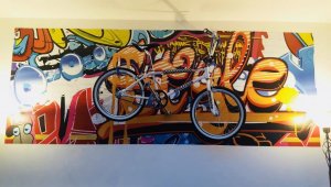 bmx on wall vivid.jpg