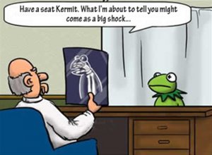 051117_kermit.jpg