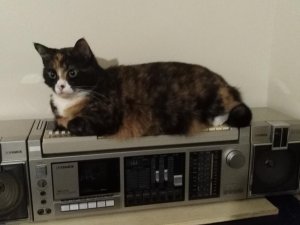 IMG_20181105_214508.jpg