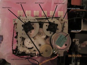 RXCS780 Belt1 - Copy.jpg