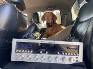 IMG_2034.jpeg IMG_2034.jpeg