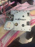 IMG_3648.jpeg