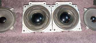 Perfect-Woofers.jpg Perfect-Woofers.jpg