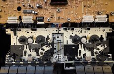 IMG_3665.jpeg IMG_3665.jpeg