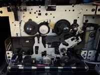 IMG_3666.jpeg IMG_3666.jpeg