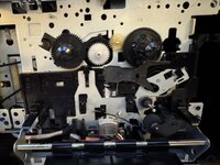 IMG_3667.jpeg IMG_3667.jpeg