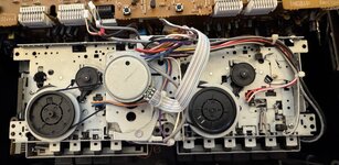 IMG_3668.jpeg IMG_3668.jpeg