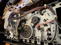 IMG_3670.jpeg IMG_3670.jpeg