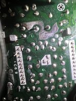 IMG_2335.jpeg