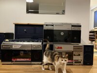 IMG_3591 2.jpeg