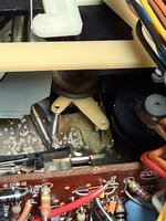 IMG_4385.jpeg