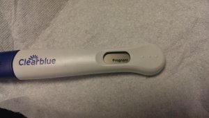 IMAG0154.jpg IMAG0154.jpg