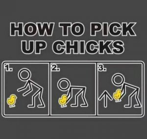 How to pick up chicks.jpg