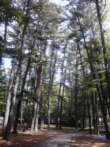0703121023.jpg
