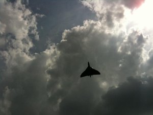 IMG_1200.JPG