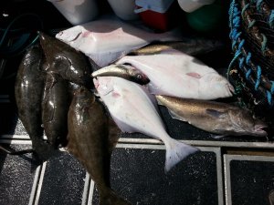 20140811_135713.jpg 20140811_135713.jpg