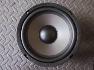 black cap speaker.jpg