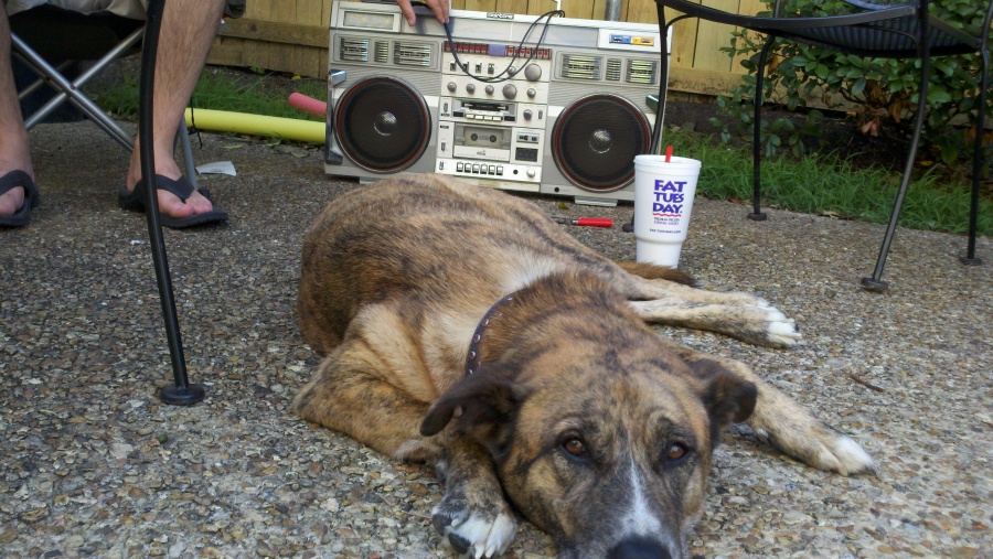 2011-07-02_17-46-18_537.jpg