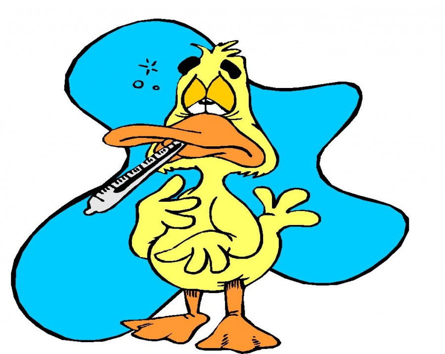 sickduck.jpg