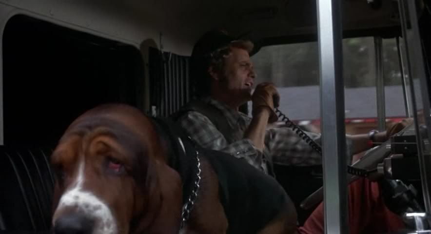 smokeyandthebandit-02fredcledus.jpg