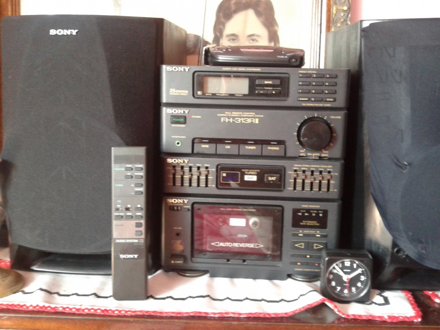sonyfh-313r2.jpg