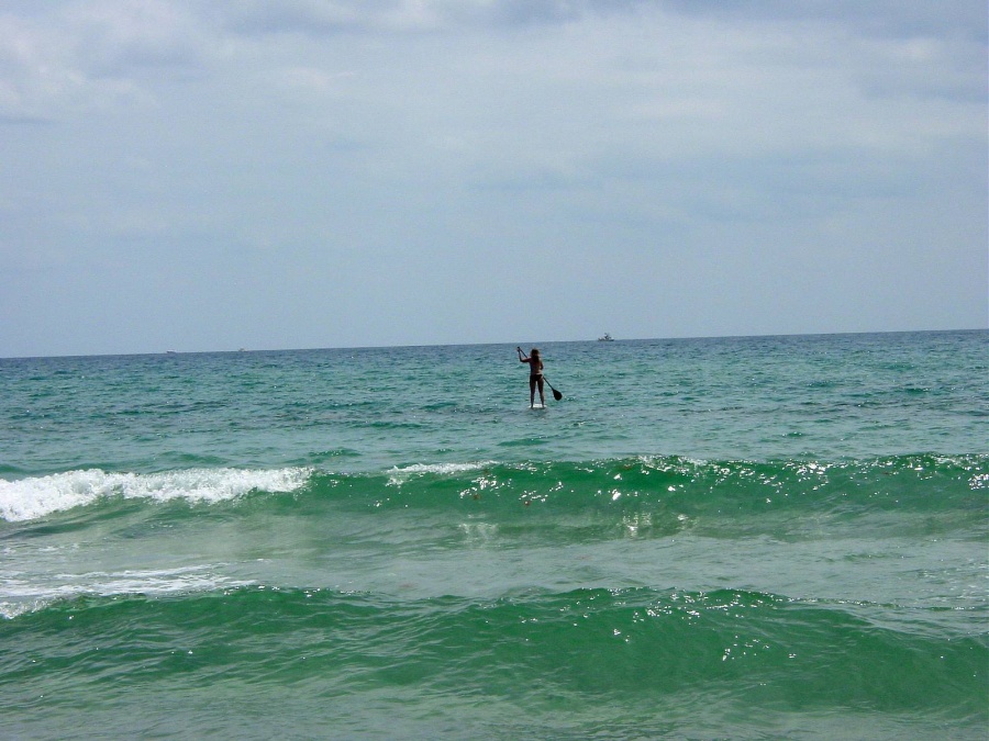dsc01618.jpgcc.jpg