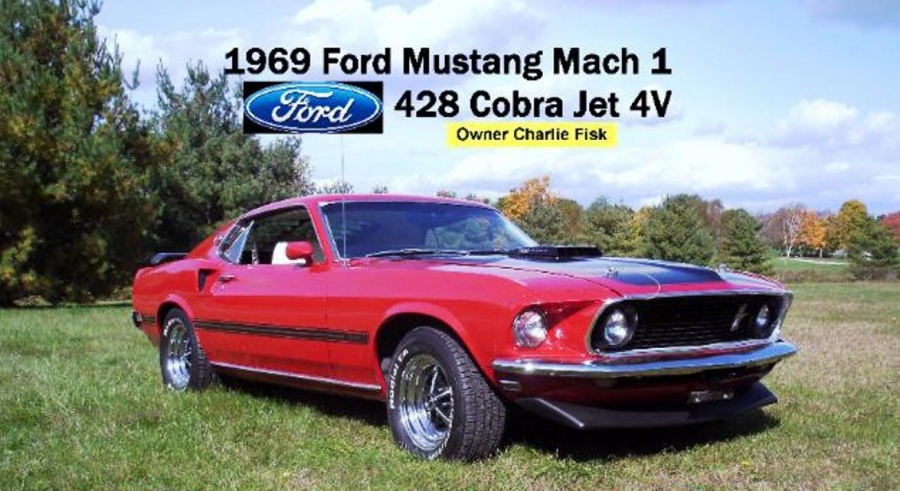 bigmustang_wo_vin-635x479-copy.jpg