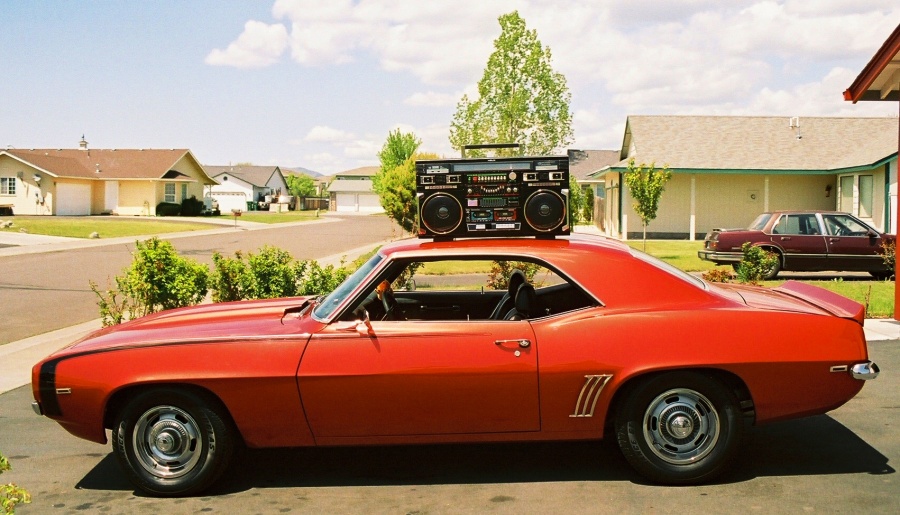 lucywithwheelyonroof.jpg